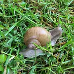 Hoamat Fuers Herz, Kleine Herz Apartament Grobming