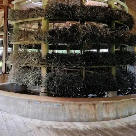 Hoamat Fuers Herz, Kleine Herz *