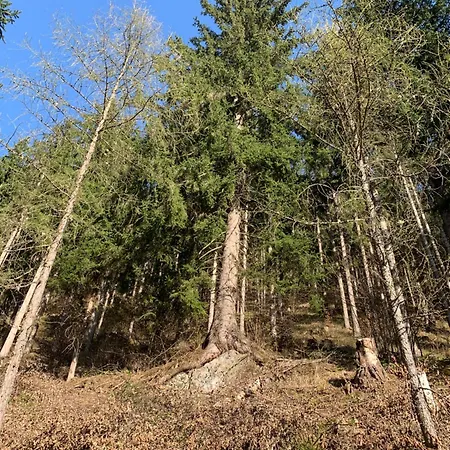 Hoamat Fuers Herz, Kleine Herz Apartamento Grobming