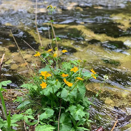 Hoamat Fuers Herz, Kleine Herz גרובמינג