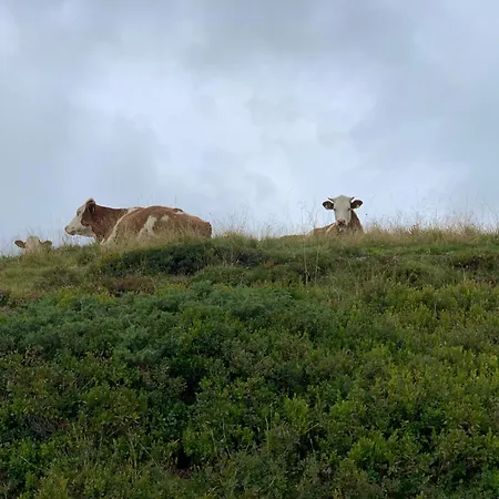 Hoamat Fuers Herz, Kleine Herz