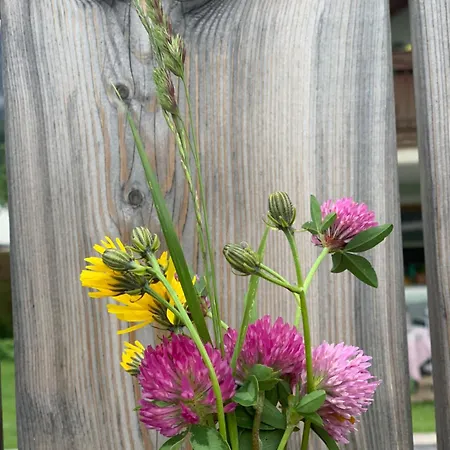 Hoamat Fuers Herz, Kleine Herz Apartamento Grobming