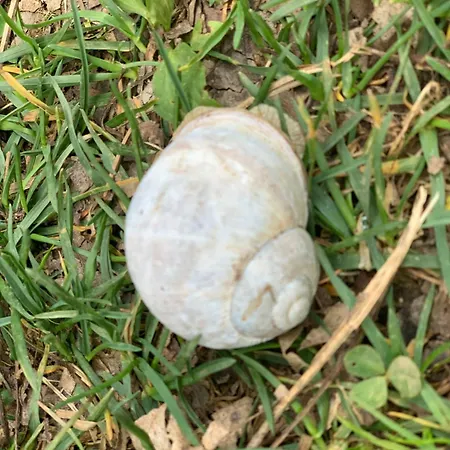 דירה Hoamat Fuers Herz, Kleine Herz