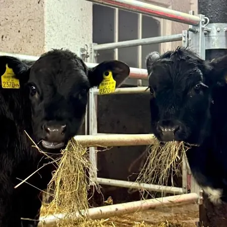 Hoamat Fuers Herz, Kleine Herz דירה