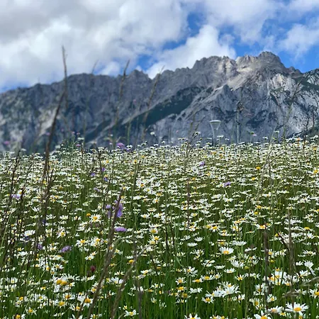 Hoamat Fuers Herz, Kleine Herz