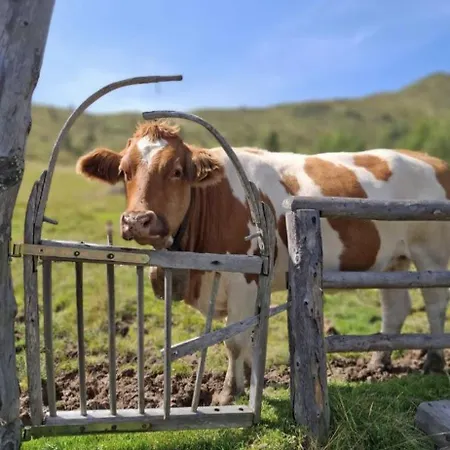 Hoamat Fuers Herz, Kleine Herz דירה *