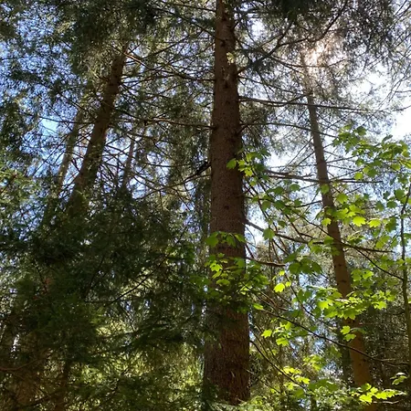 Apartment Hoamat Fuers Herz, Kleine Herz