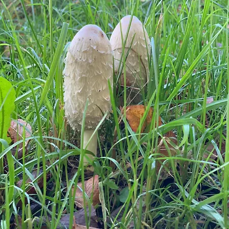 דירה Hoamat Fuers Herz, Kleine Herz גרובמינג