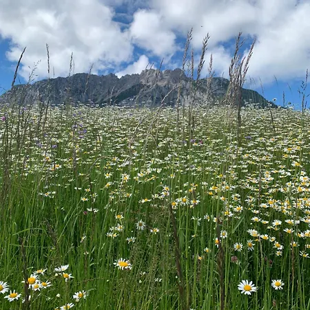 Hoamat Fuers Herz, Kleine Herz Grobming