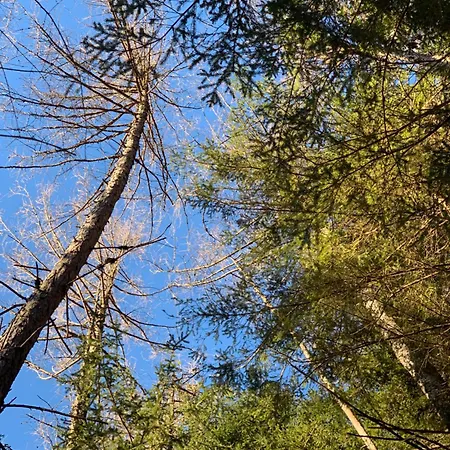 Hoamat Fuers Herz, Kleine Herz * Grobming