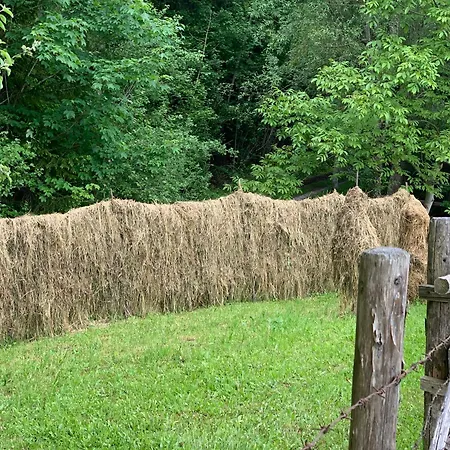 Hoamat Fuers Herz, Kleine Herz