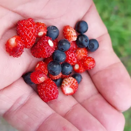 Hoamat Fuers Herz, Kleine Herz Apartment