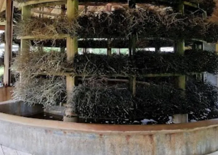 Hoamat Fuers Herz, Kleine Herz *