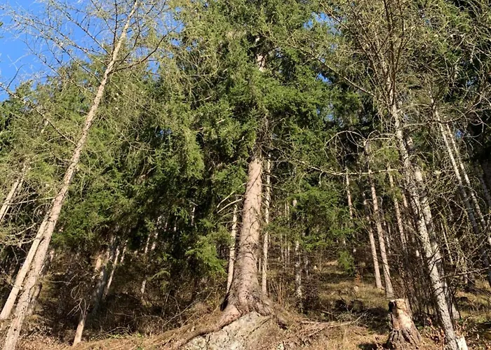 Hoamat Fuers Herz, Kleine Herz Appartement Grobming