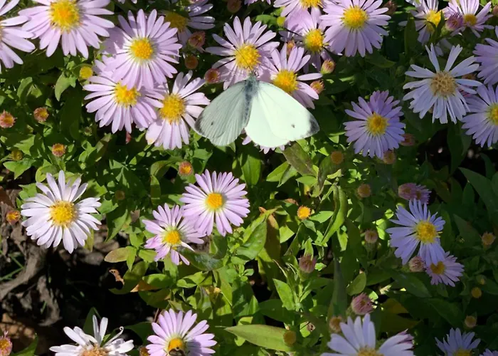 Appartement Hoamat Fuers Herz, Kleine Herz Grobming