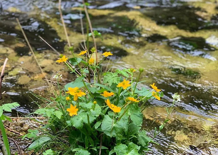 Hoamat Fuers Herz, Kleine Herz Grobming