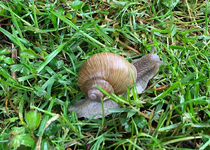 Hoamat Fuers Herz, Kleine Herz Appartement Grobming