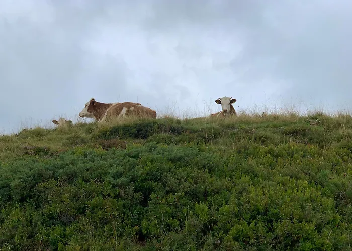 Hoamat Fuers Herz, Kleine Herz
