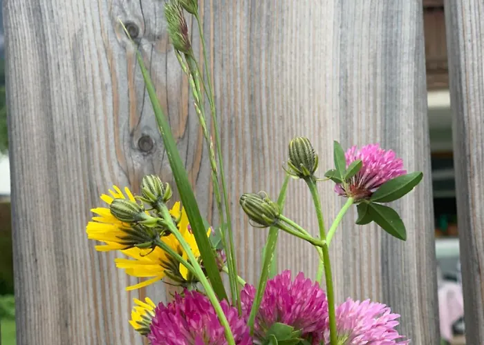 Hoamat Fuers Herz, Kleine Herz Appartement Grobming