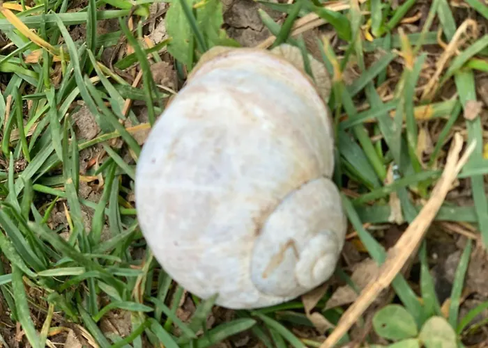 Appartement Hoamat Fuers Herz, Kleine Herz