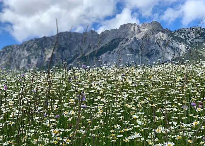 Hoamat Fuers Herz, Kleine Herz