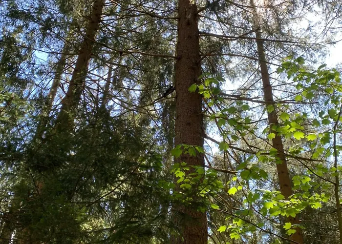 Appartement Hoamat Fuers Herz, Kleine Herz