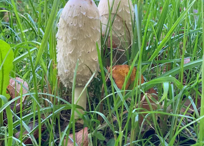 Appartement Hoamat Fuers Herz, Kleine Herz Grobming