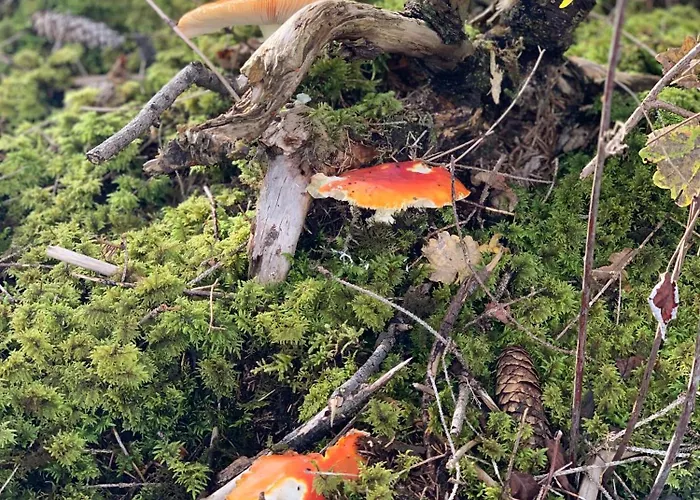 Appartement Hoamat Fuers Herz, Kleine Herz