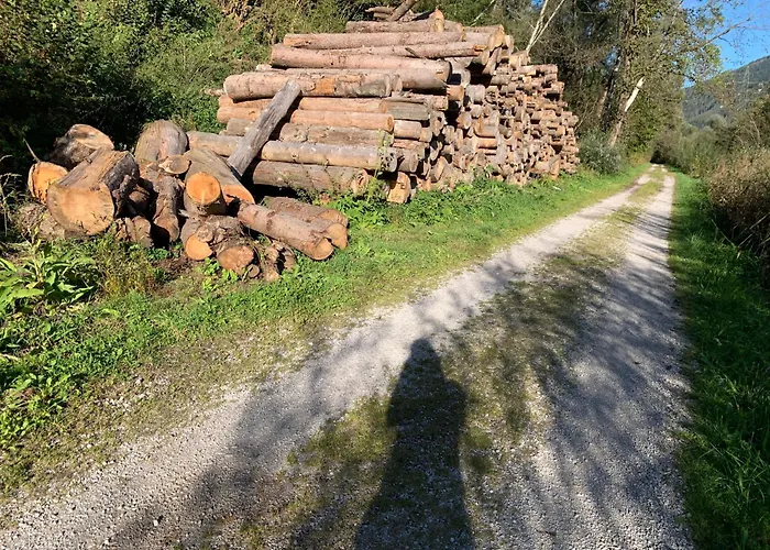 Appartement Hoamat Fuers Herz, Kleine Herz *