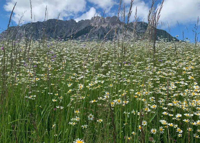 Hoamat Fuers Herz, Kleine Herz Grobming