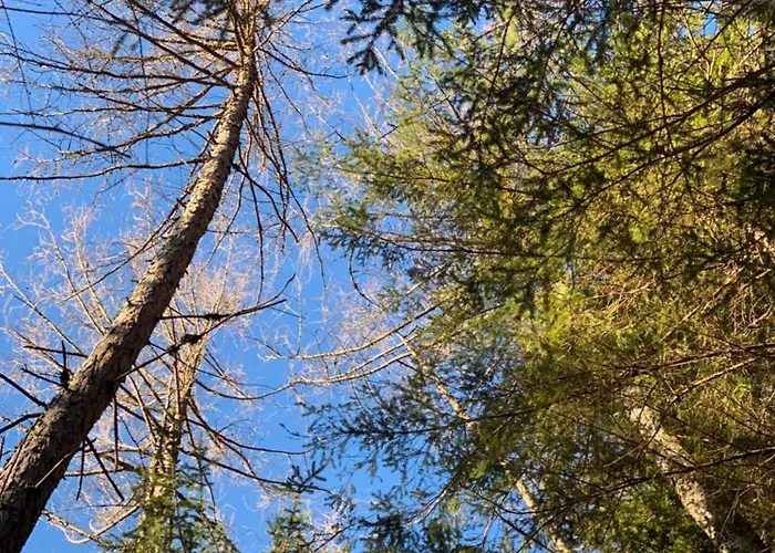 Hoamat Fuers Herz, Kleine Herz * Grobming