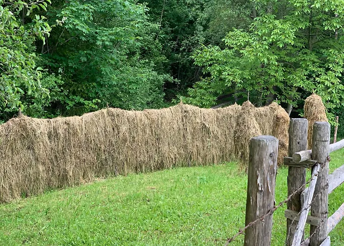 Hoamat Fuers Herz, Kleine Herz