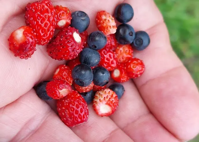 Hoamat Fuers Herz, Kleine Herz Appartement
